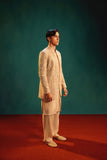 AR9046 - Ahmad Raza- clothing- Prince Suit