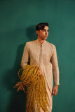 AR9046 - Ahmad Raza- clothing- Prince Suit